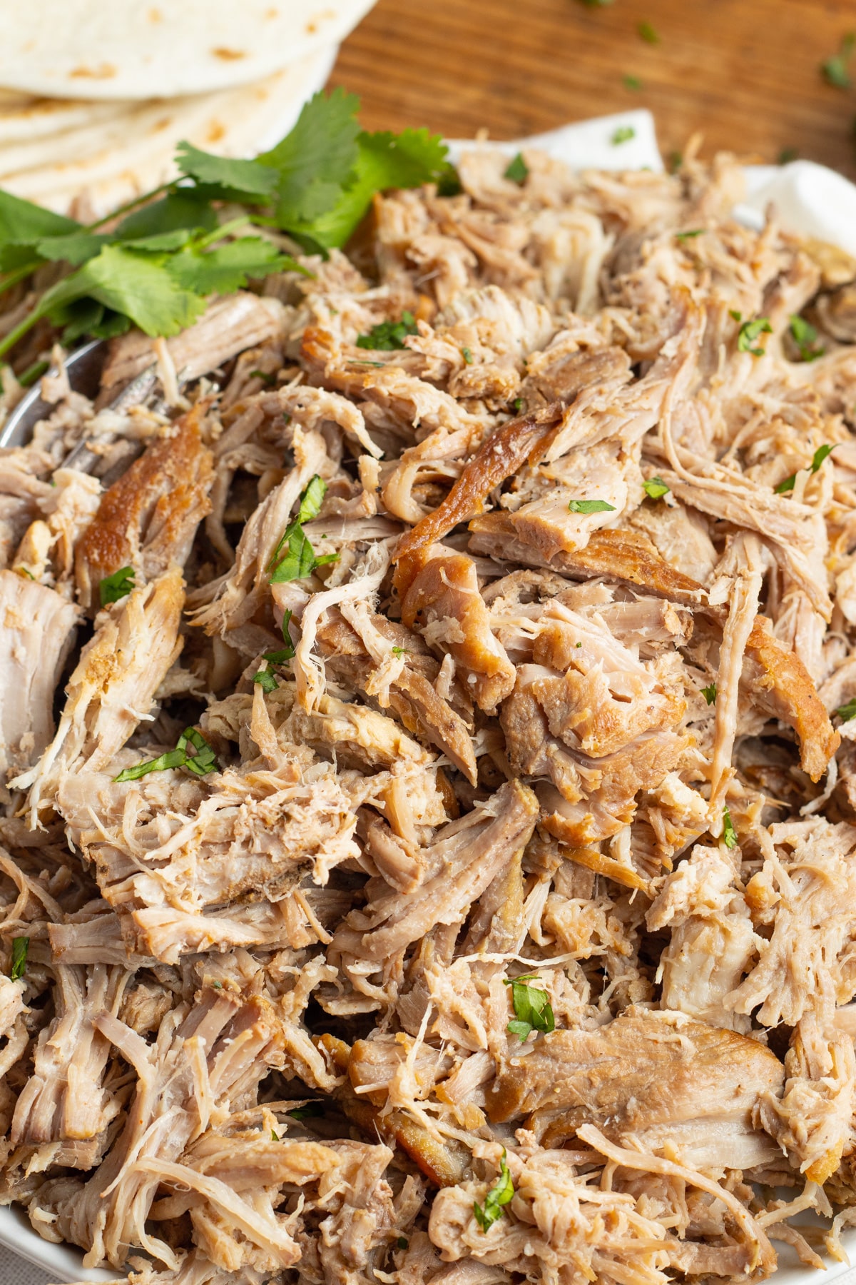 This is a picture of shredded carnitas in a plate.