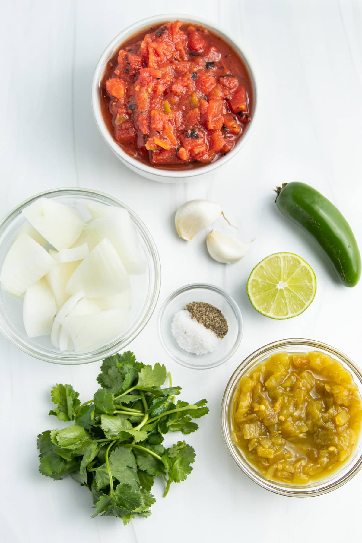 Picture of all individual ingredients to make salsa. 