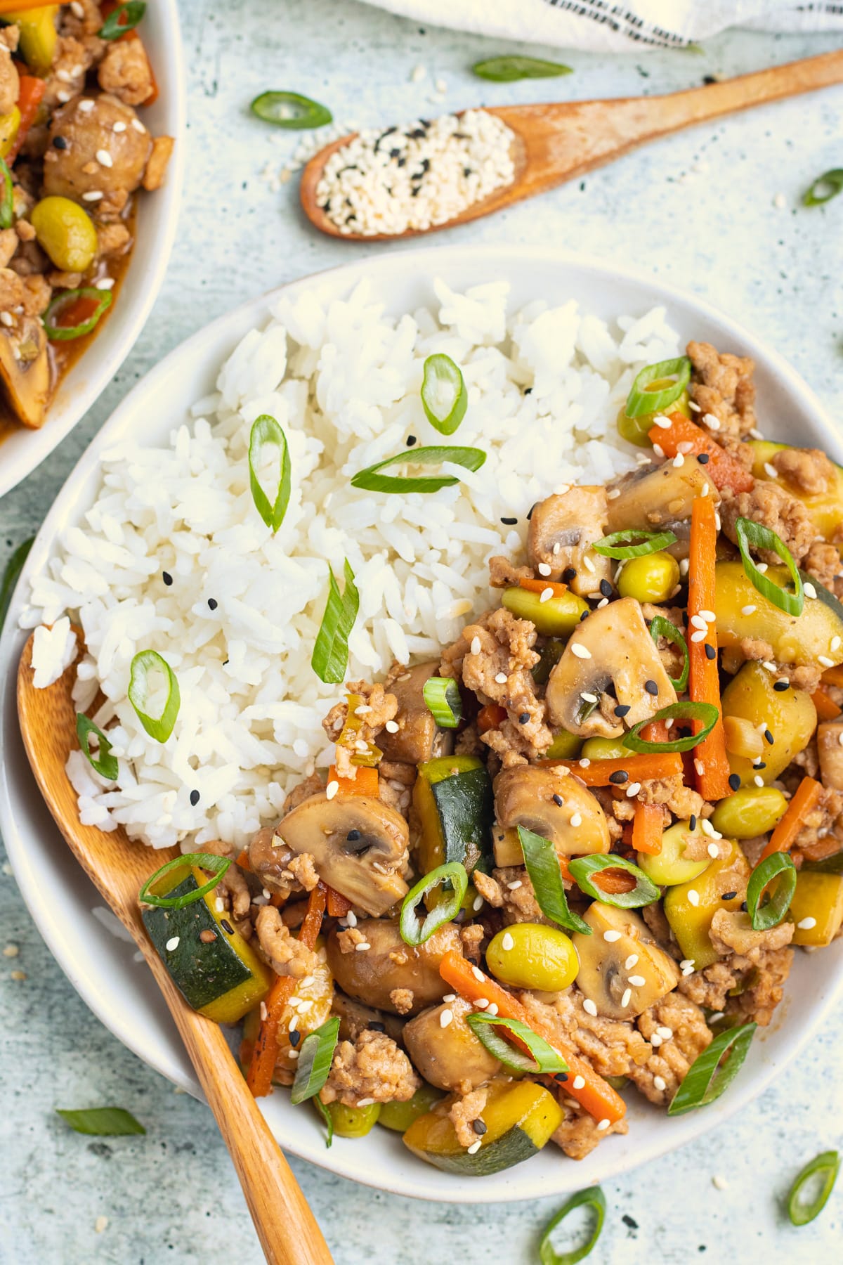Picture of chicken and vegetable stir fry with rice on a plate. 