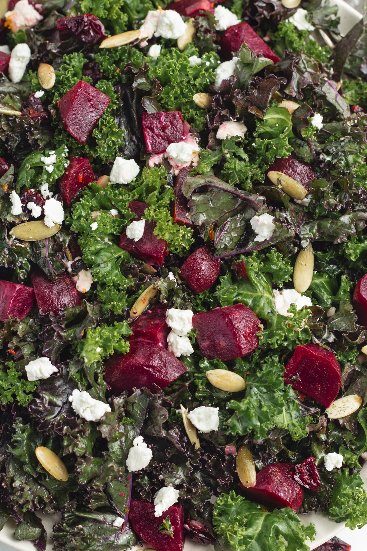This is a close up picture of the kale salad.