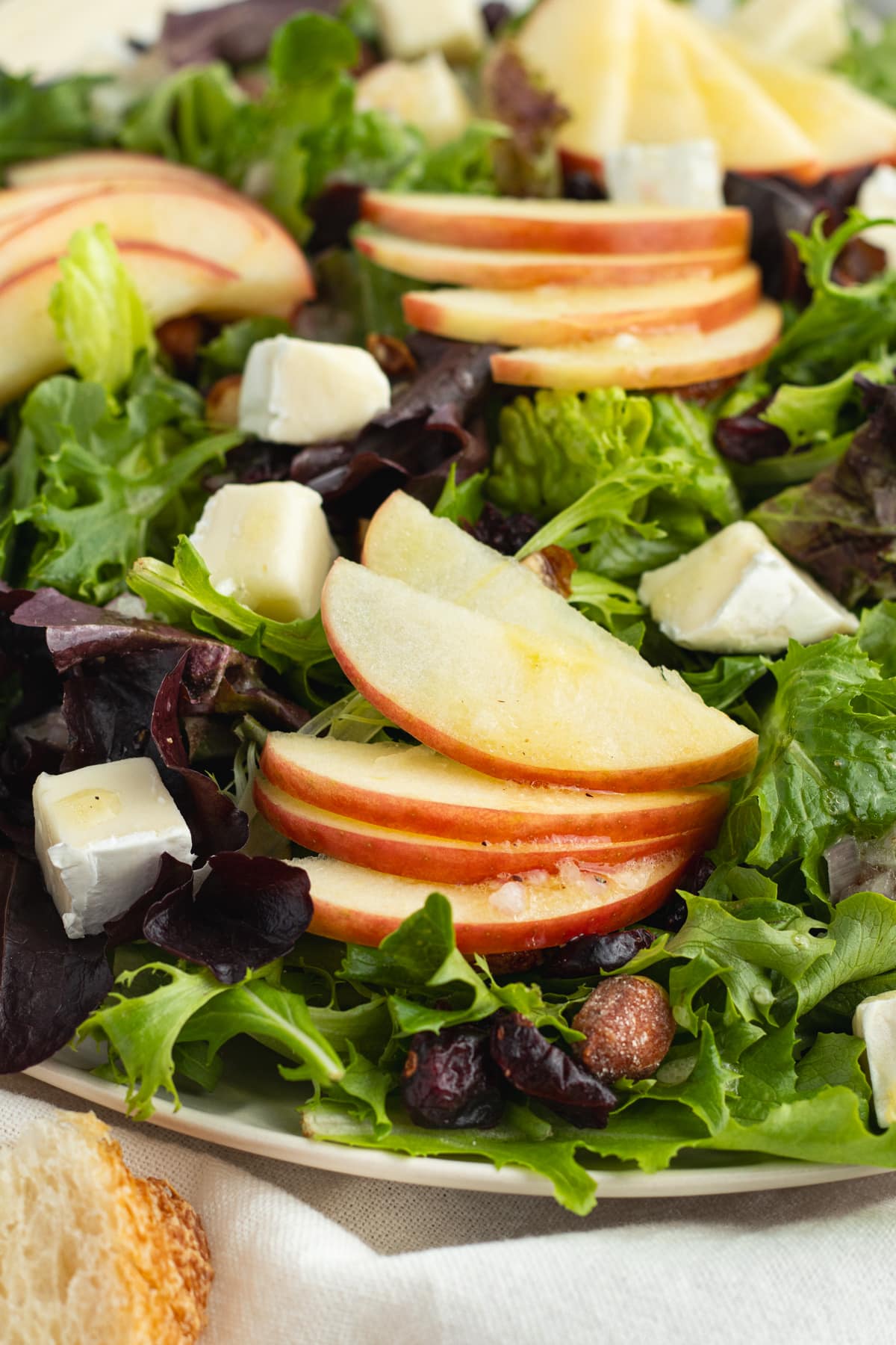 This is a close-up picture of the apple brie salad.