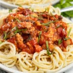 This is a square picture of ground chicken spaghetti.