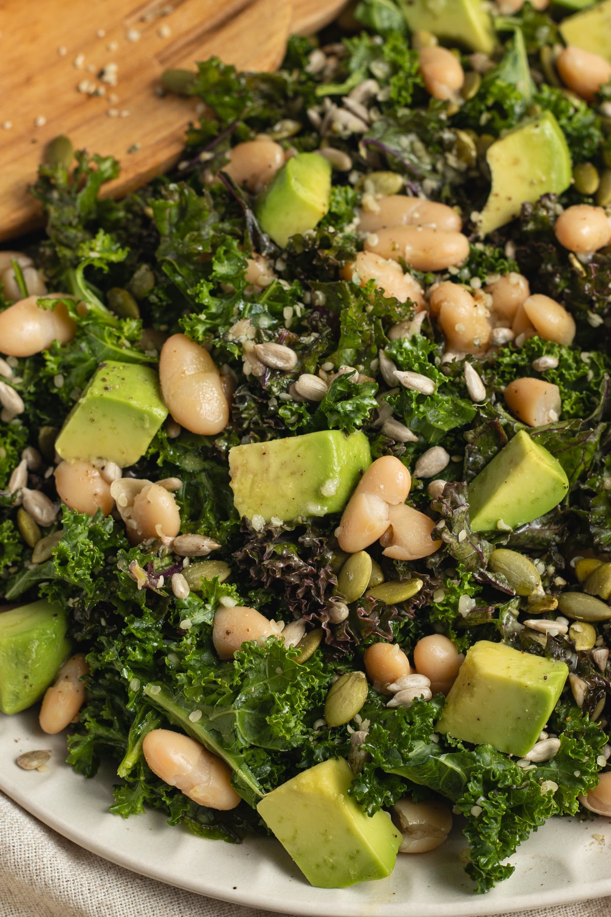 This is a picture close up of the kale white bean salad.