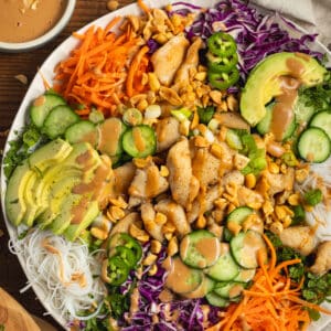 This is a square picture of the spring roll salad with chicken.