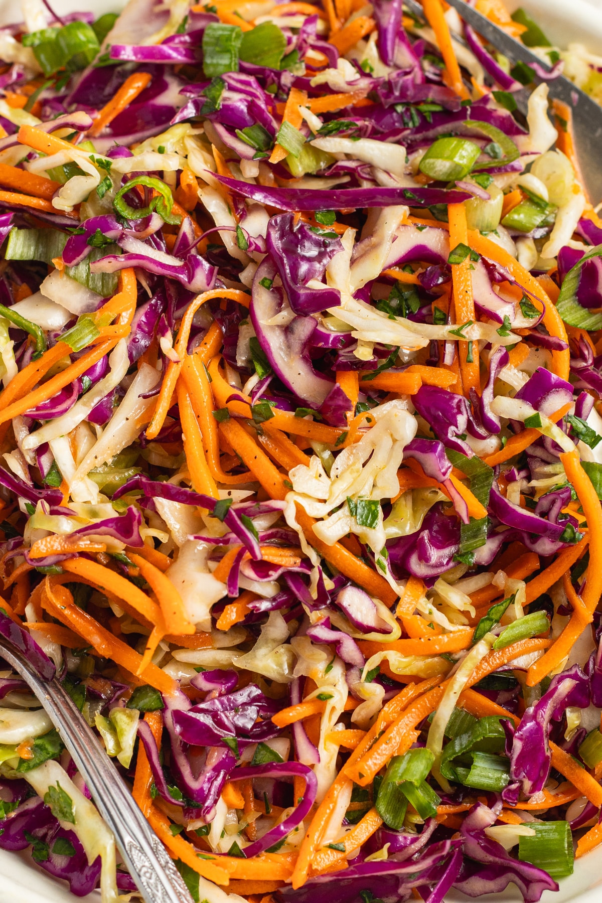 This is a close-up picture of this carrot and cabbage salad.