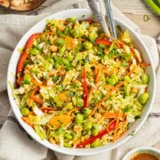 This is a picture of a bowl of napa cabbage salad.