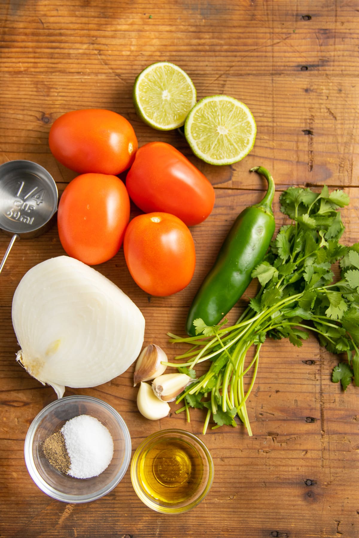 This is a picture of all the ingredients used to make this salsa recipe.